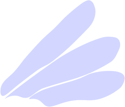 Ailes mauves grand - Copie